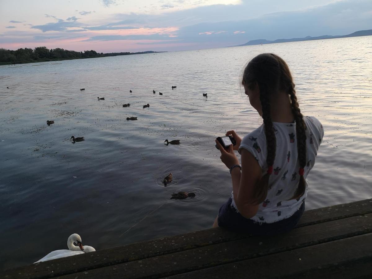 Balaton Art Guesthouse Balatonszárszó Eksteriør bilde