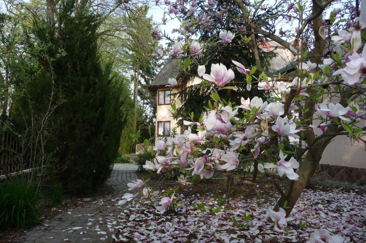 Balaton Art Guesthouse Balatonszárszó Eksteriør bilde