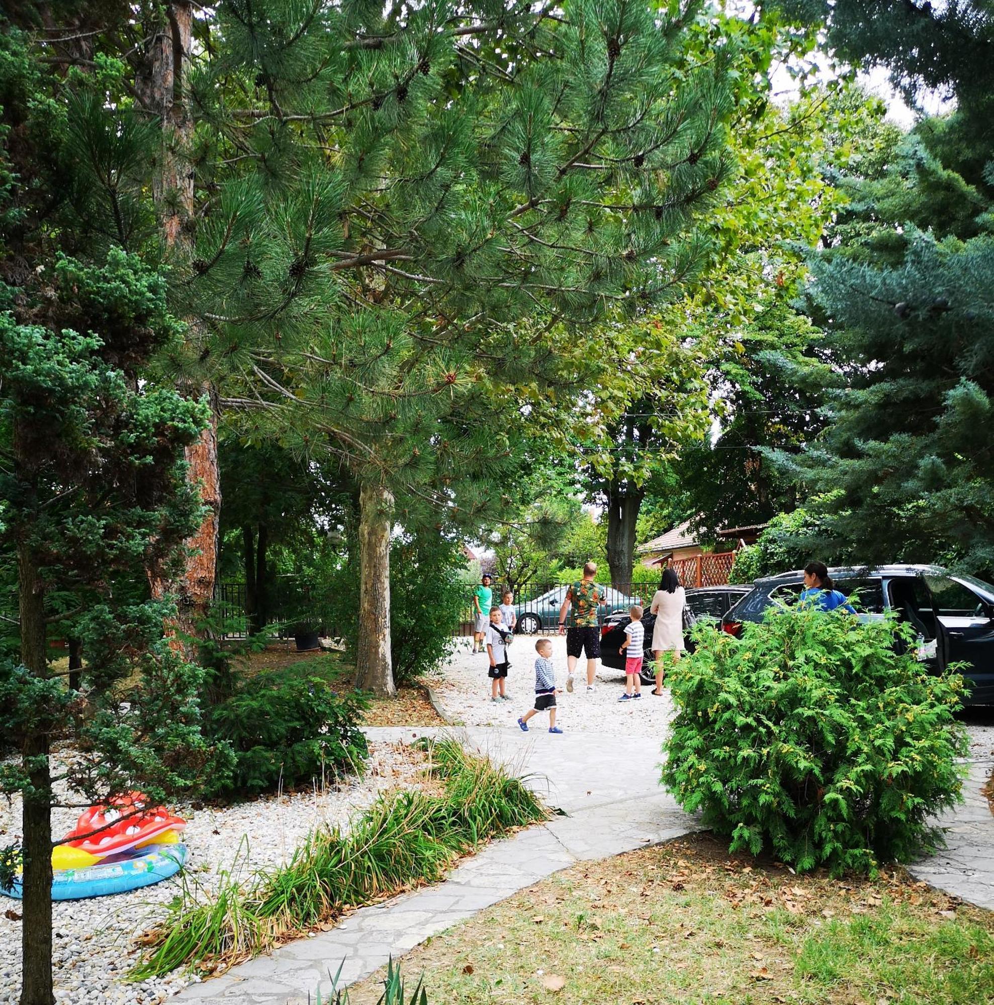 Balaton Art Guesthouse Balatonszárszó Eksteriør bilde