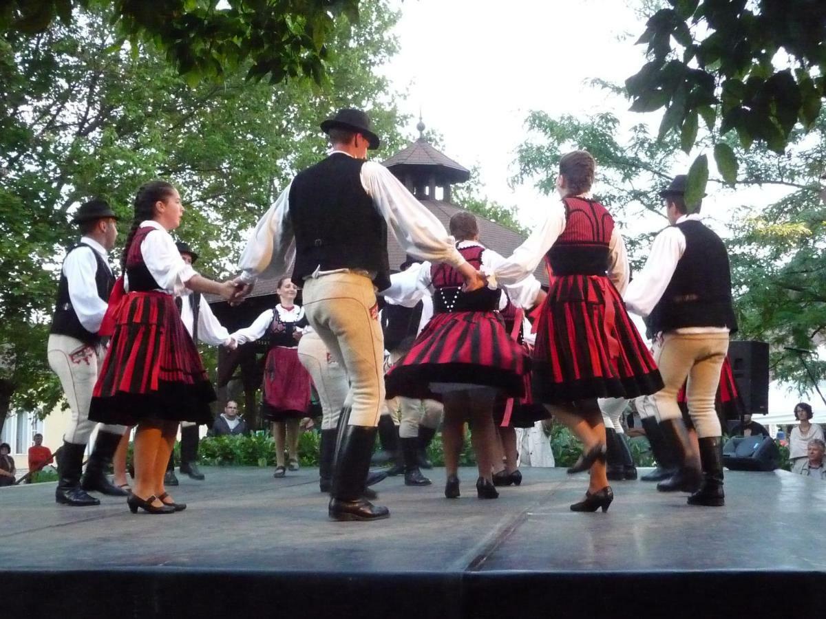 Balaton Art Guesthouse Balatonszárszó Eksteriør bilde