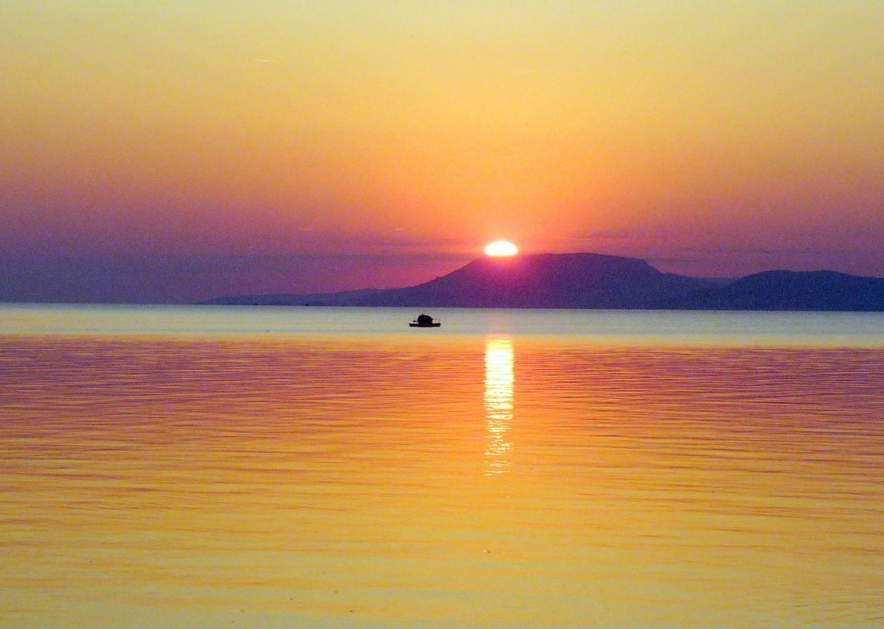 Balaton Art Guesthouse Balatonszárszó Eksteriør bilde
